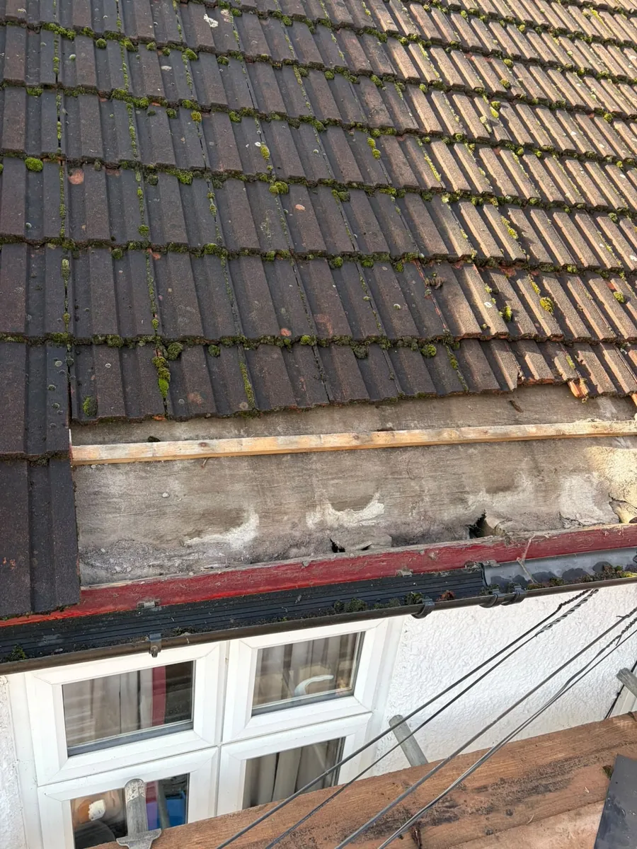 Old tiles and a damaged eaves board opened up for repair