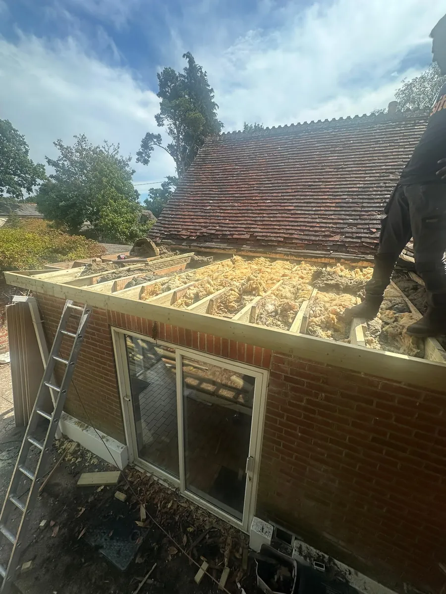 Extension roof opened up to the joists over patio doors
