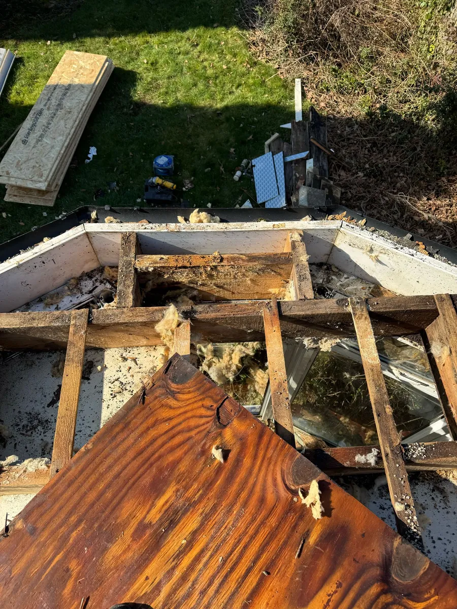 Rotten timbers exposed during a strip-out